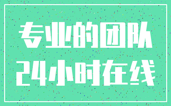 专业的团队_24小时在线