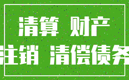 清算 财产_注销 清偿债务