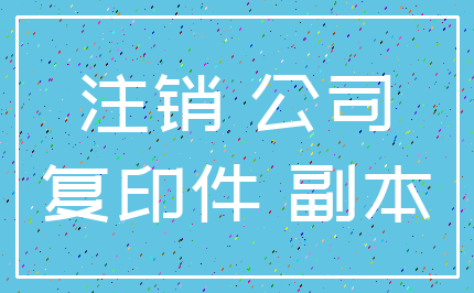 注销 公司_复印件 副本
