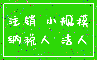 注销 小规模_纳税人 法人
