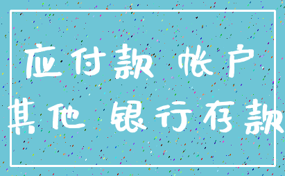 应付款 帐户_其他 银行存款