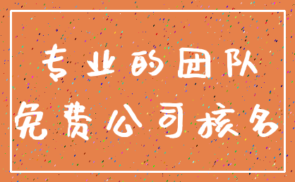 专业的团队_免费公司核名