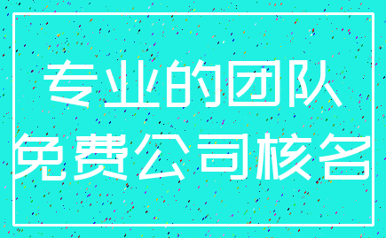 专业的团队_免费公司核名