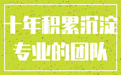 十年积累沉淀_专业的团队