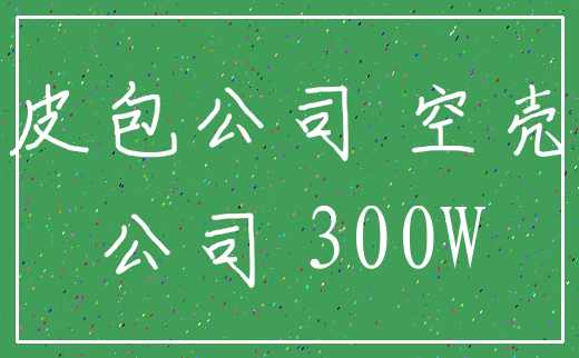 皮包公司 空壳_公司 300W