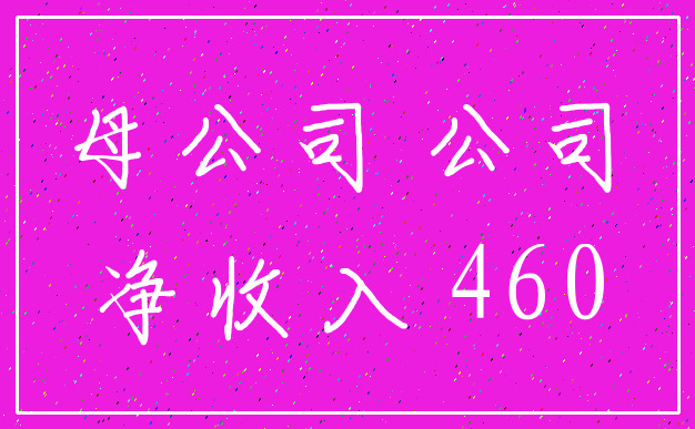 母公司 公司_净收入 460