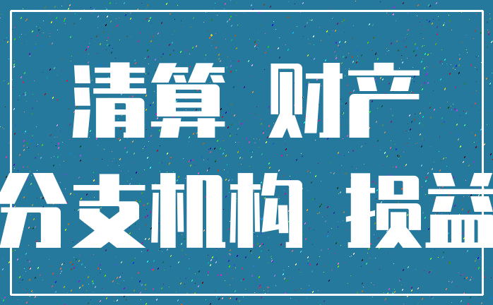 清算 财产_分支机构 损益