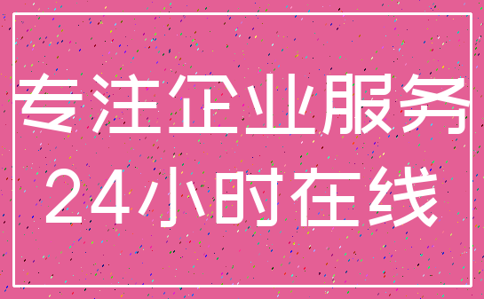 专注企业服务_24小时在线