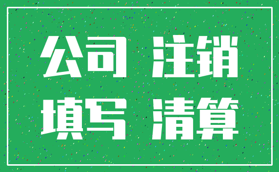 公司 注销_填写 清算