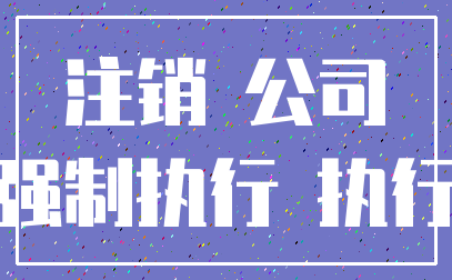 注销 公司_强制执行 执行