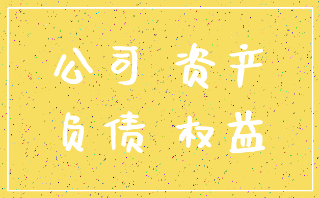 公司 资产_负债 权益