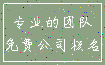 专业的团队_免费公司核名