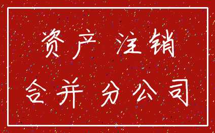 资产 注销_合并 分公司