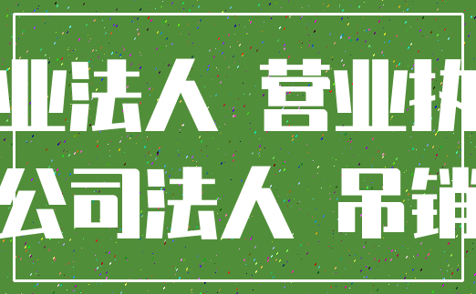 企业法人 营业执照_公司法人 吊销