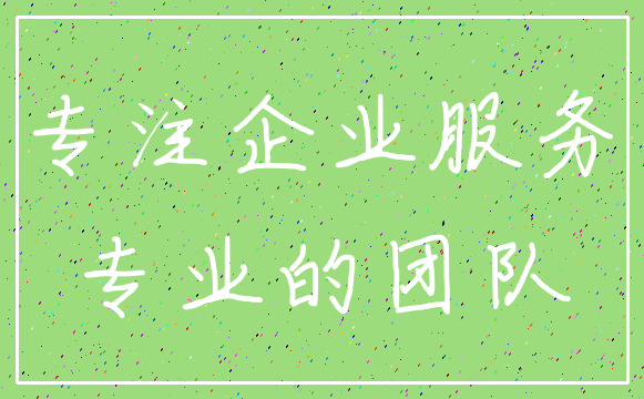 专注企业服务_专业的团队