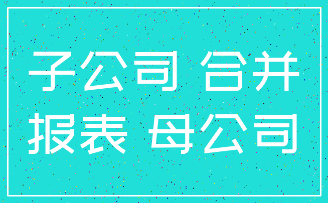 子公司 合并_报表 母公司