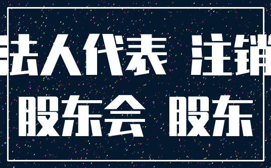 法人代表 注销_股东会 股东