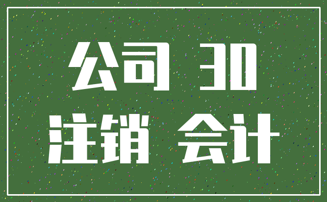 公司 30_注销 会计