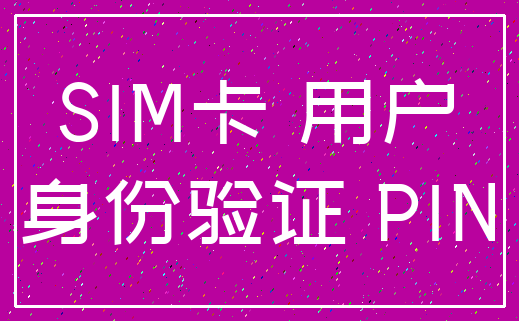 SIM卡 用户_身份验证 PIN