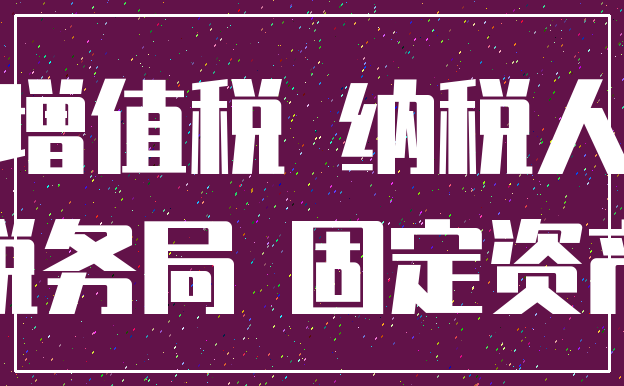 增值税 纳税人_税务局 固定资产