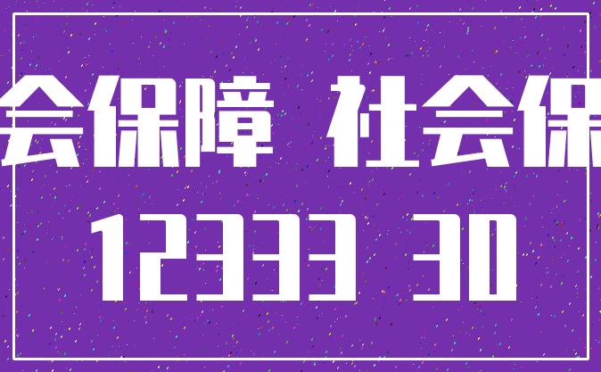 社会保障 社会保险_12333 30