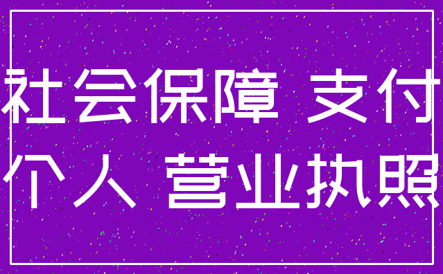 社会保障 支付_个人 营业执照