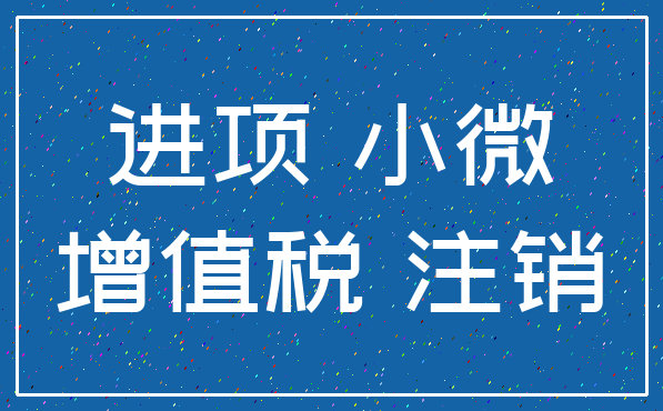 进项 小微_增值税 注销