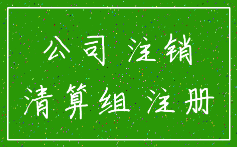 公司 注销_清算组 注册