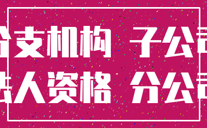 分支机构 子公司_法人资格 分公司