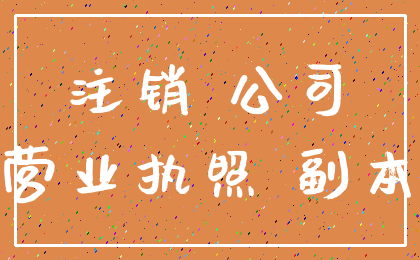 注销 公司_营业执照 副本