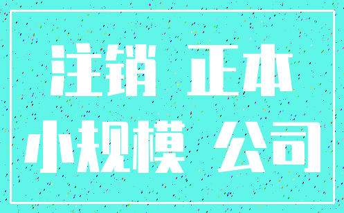 注销 正本_小规模 公司