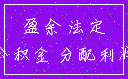 盈余 法定_公积金 分配利润