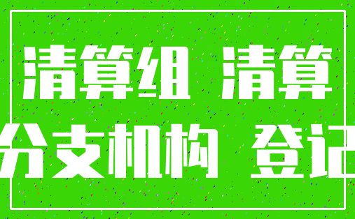 清算组 清算_分支机构 登记