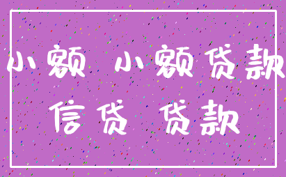 小额 小额贷款_信贷 贷款