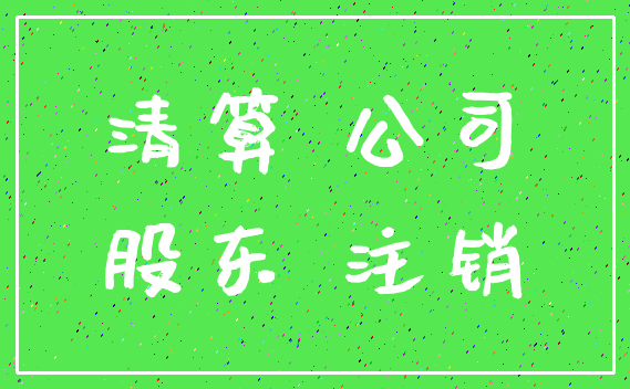 清算 公司_股东 注销