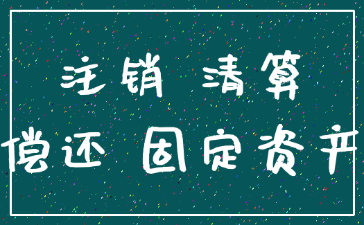 注销 清算_偿还 固定资产
