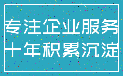 专注企业服务_十年积累沉淀