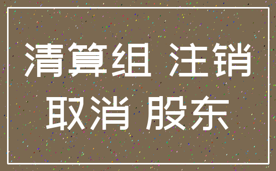 清算组 注销_取消 股东