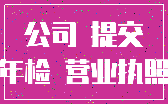 公司 提交_年检 营业执照
