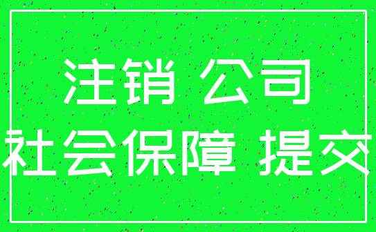 注销 公司_社会保障 提交