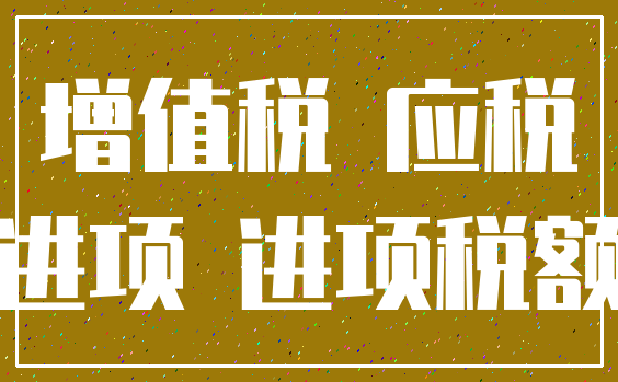 增值税 应税_进项 进项税额