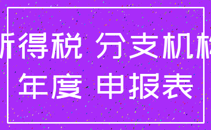 所得税 分支机构_年度 申报表