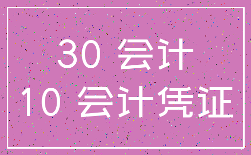 30 会计_10 会计凭证
