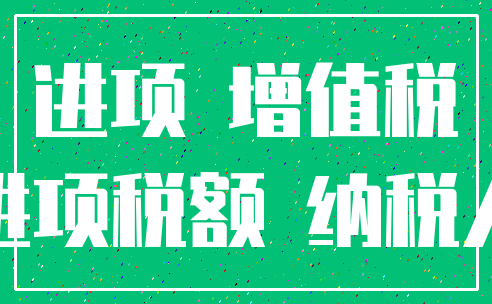 进项 增值税_进项税额 纳税人