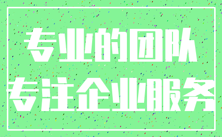 专业的团队_专注企业服务