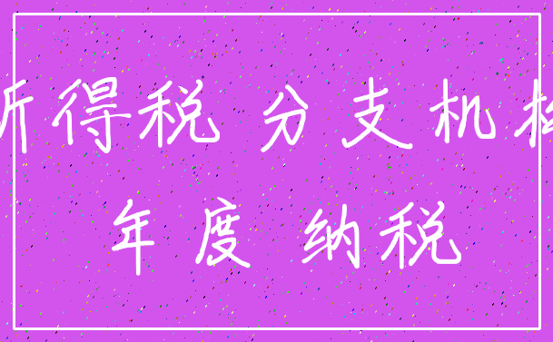 所得税 分支机构_年度 纳税