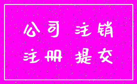 公司 注销_注册 提交