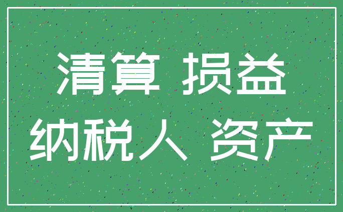 清算 损益_纳税人 资产