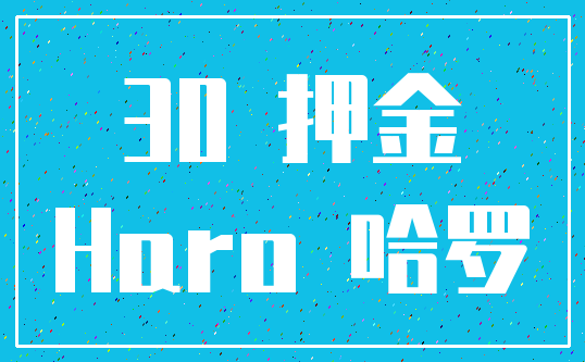 30 押金_Haro 哈罗