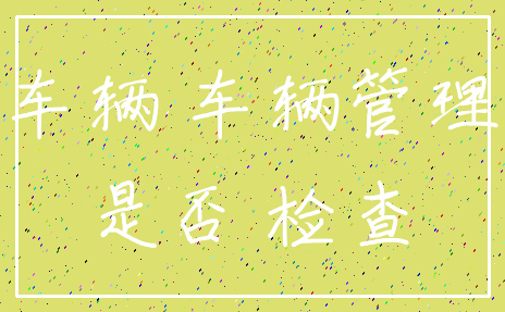 车辆 车辆管理_是否 检查